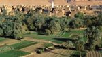 Agriculture as an economic engine